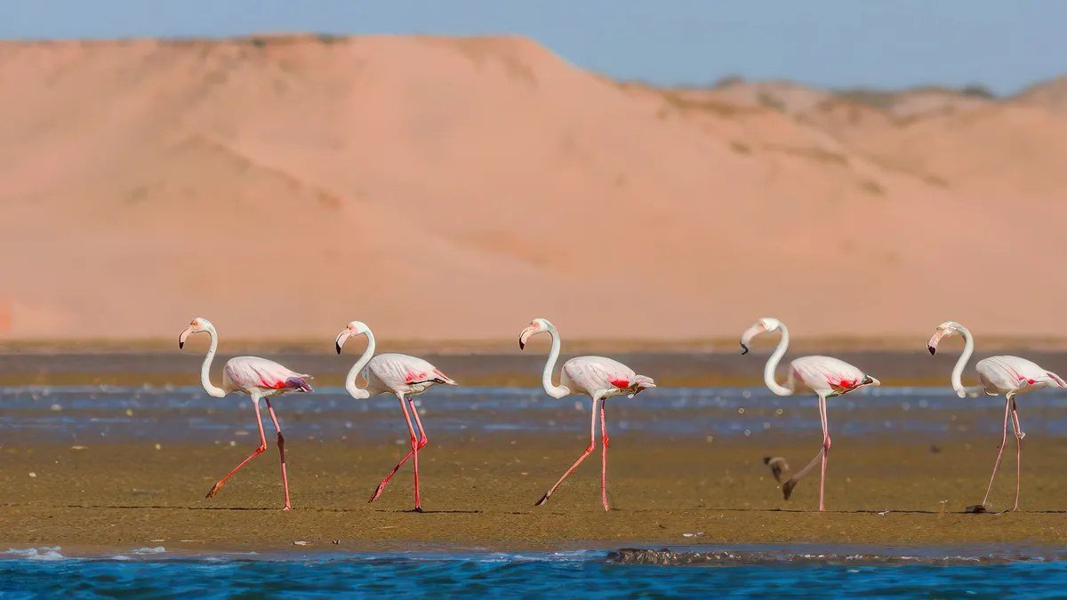 Jeep au sud d’Agadir : Tiznit, dunes et déjeuner tajine — vue 1 du parcours proposé