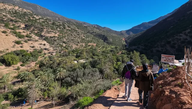 Vallée du Paradis, déjeuner à Tamri et dromadaire à Timlaline
